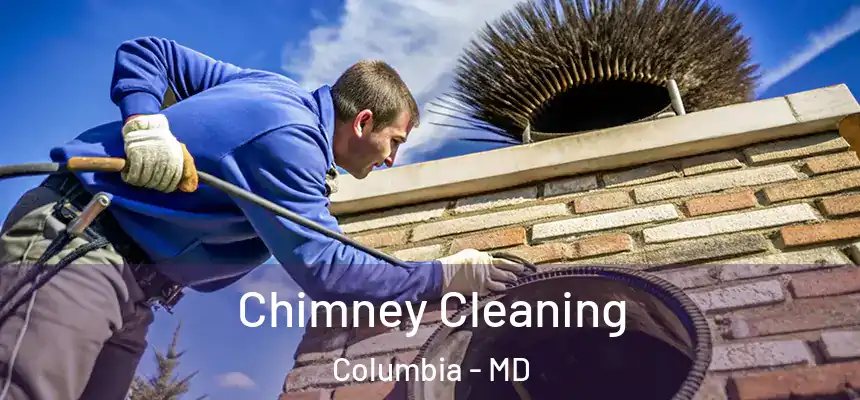  Chimney Cleaning Columbia - MD
