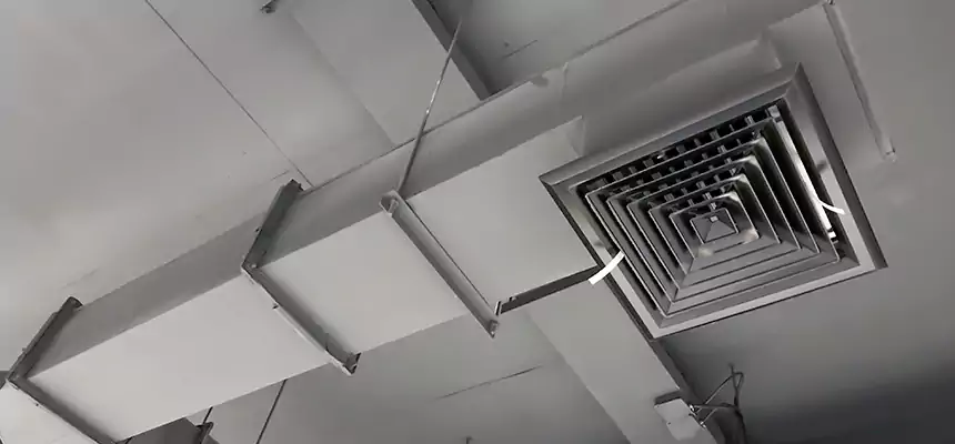 Our Rodent Droppings In Vents Services in Columbia, MD