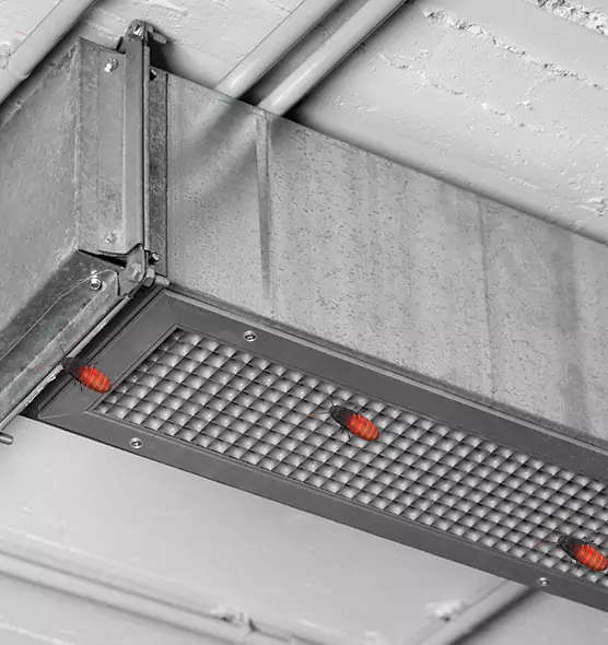 About Air Duct Cockroach Removal in Columbia, MD