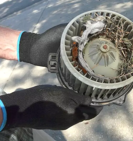 About Air Duct Mice Removal in Columbia, MD