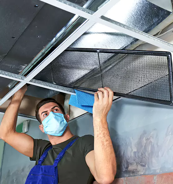 Professional Air Duct Pollen Cleaning in Columbia, MD