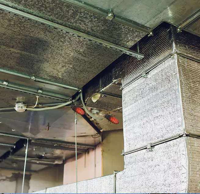 Why Homeowners & Businesses Trust Us in Columbia, MD?